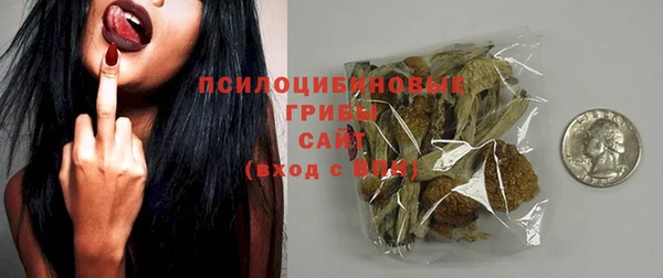 прущие крисы Белокуриха