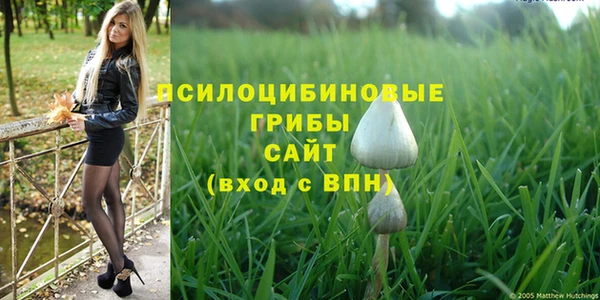 дживик Заволжье
