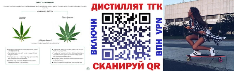 где найти   Наро-Фоминск  ТГК THC oil 