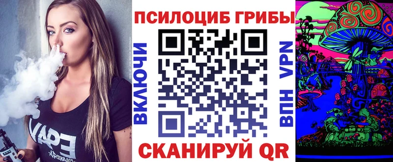 Галлюциногенные грибы MAGIC MUSHROOMS  цены   Наро-Фоминск 